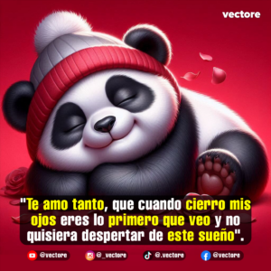 Gráfico digital de un tierno oso panda acostado boca abajo con una sonrisa plácida, usando un gorro de lana con franjas rojas y blancas, sobre un fondo rojo con rosas en las esquinas.