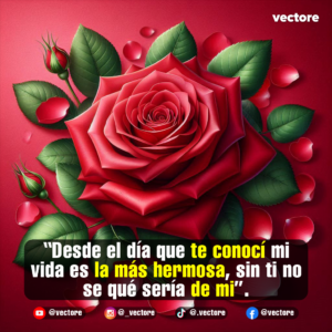 Composición romántica centrada en una majestuosa rosa roja abierta con hojas de un tono verde oscuro. Alrededor de la flor principal se aprecian capullos de rosa listos para florecer y múltiples pétalos de rosa rojos esparcidos sobre un fondo texturizado carmesí.