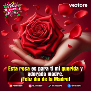 Imagen artística de una mano sosteniendo con delicadeza una rosa roja brillante en plena floración, rodeada de pétalos que flotan suavemente en un fondo de tonos vino y rojo.
