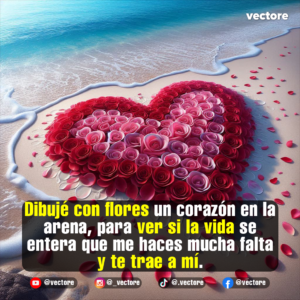 Composición artística en una playa tropical que muestra un gran corazón formado meticulosamente con rosas rojas y rosadas sobre la arena húmeda junto a la orilla del mar.