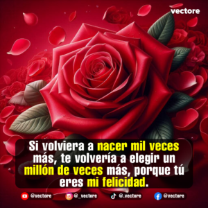 Imagen romántica enfocada en una rosa roja brillante rodeada de hojas verdes y un lecho denso de pétalos rojos caídos, con iluminación suave de fondo.